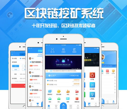 温州网站建设app开发价格